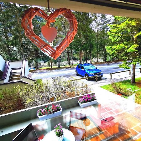 Dapolo - Cosy Appartment In Val Di Fassa Campestrin المظهر الخارجي الصورة