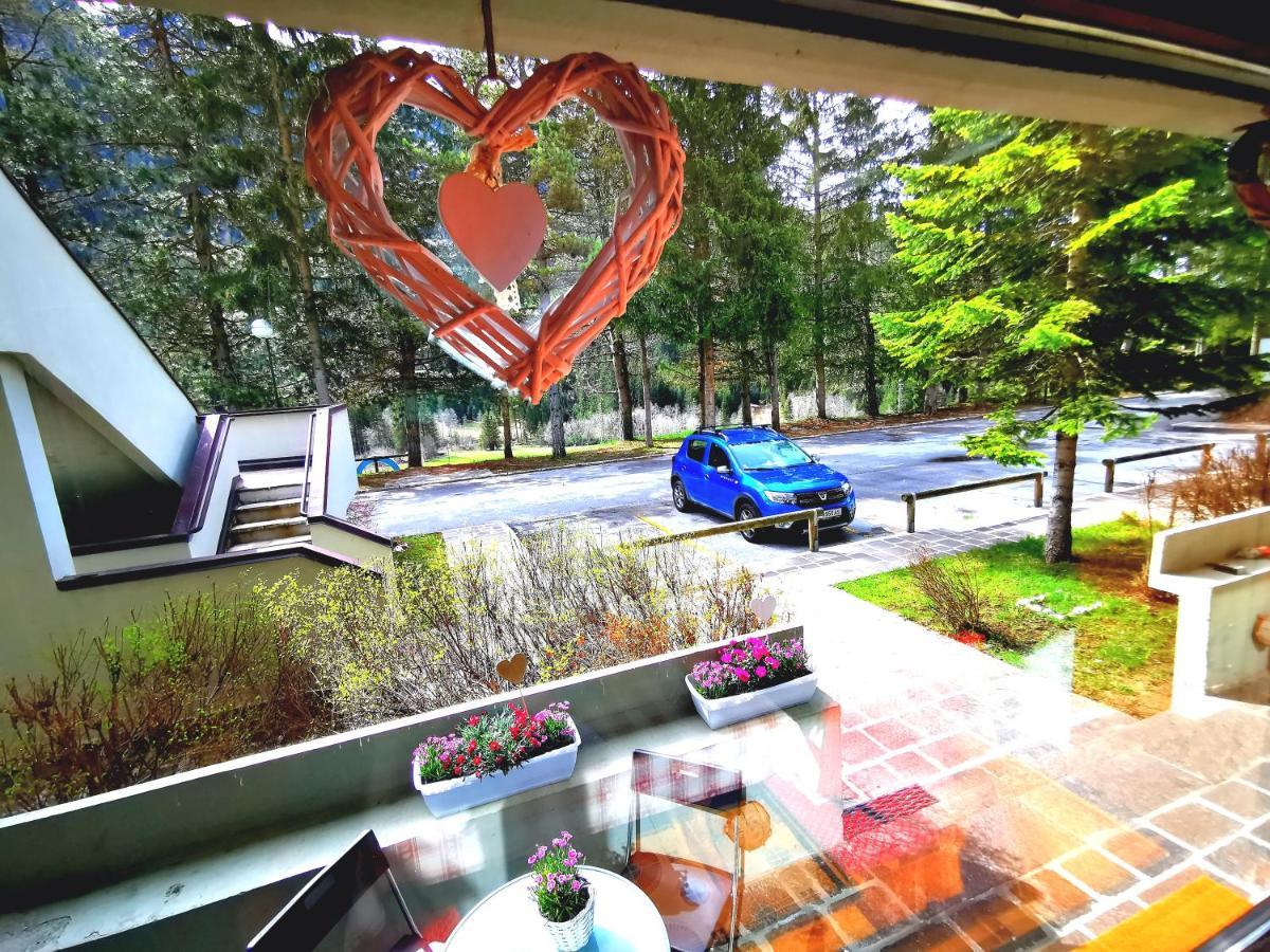 Dapolo - Cosy Appartment In Val Di Fassa Campestrin المظهر الخارجي الصورة